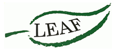 LEAF